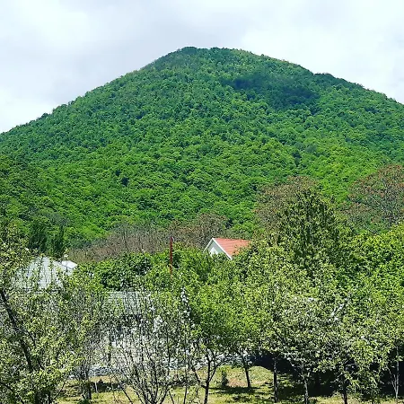 Gabala Sweet Home المظهر الخارجي الصورة