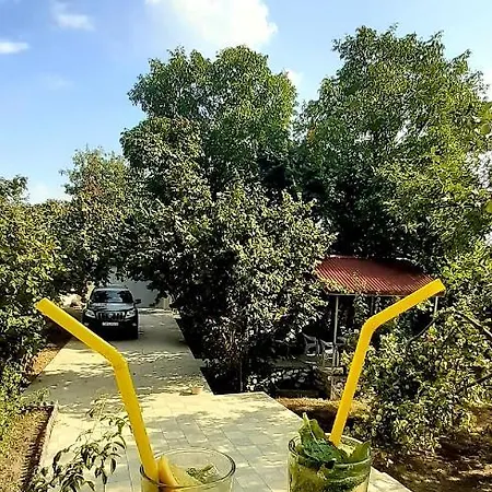 Gabala Sweet Home المظهر الخارجي الصورة